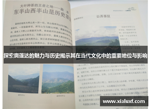 探索奥蓬达的魅力与历史揭示其在当代文化中的重要地位与影响